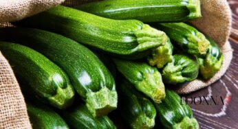 Le zucchine diventano tossiche? Assolutamente si, scopri quando!