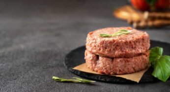 Polpette e hamburger vegani e vegetariani: ecco cosa c’è dentro davvero