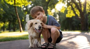 8 cose stupide e pericolose che i bambini fanno ai cani