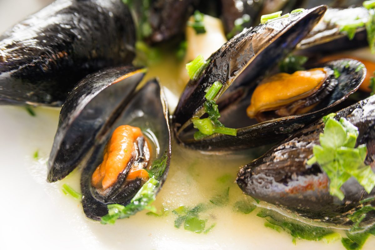 Cozze al vino bianco: una ricetta leggerissima, provala a Natale!