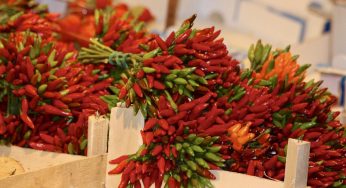 Scopri come il peperoncino piccante aiuta a perdere peso