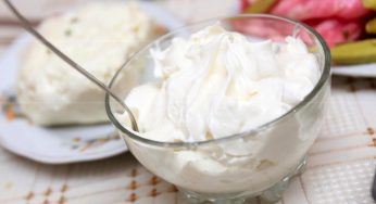 Mousse di ricotta con soli 4 ingredienti una vera bontà, meno di 80 calorie!