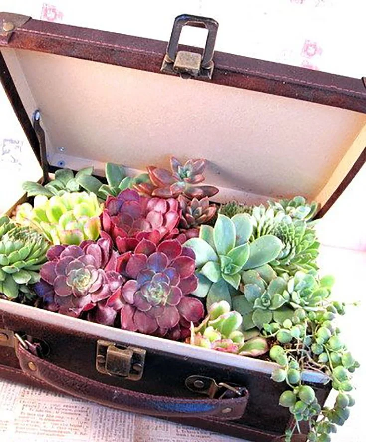 Einfache und originelle DIYs für Ihren Garten!