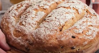 Pane alla birra: croccante fuori e soffice dentro, una vera delizia!