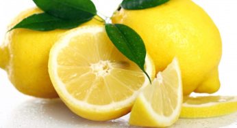 Conservare i limoni: tutti i segreti per succo e scorza sempre freschi