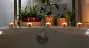 Le 5 piante migliori da tenere in casa | Assorbono umidità e cattivi odori in bagno