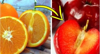 Il cibo più ricco di vitamina C non è l’arancia, ma c’è un frutto che ne ha 30 volte in più!