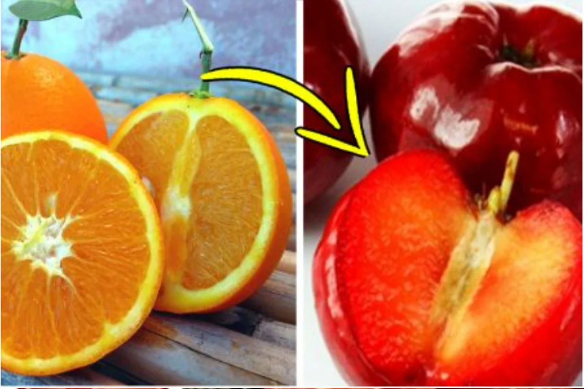 Il cibo più ricco di vitamina C non è l’arancia, ma c’è un frutto che ne ha 30 volte in più!