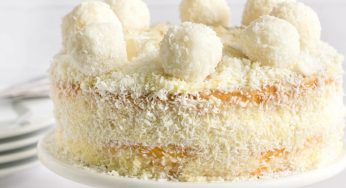 Torta Raffaello: al cocco e al cioccolato bianco, portala in tavola a Natale!