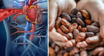 4 Alimenti ottimi per proteggere il tuo cuore