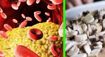 Ne bastano 85 grammi per contrastare il diabete e abbassare il colesterolo! Ricco di vitamina D