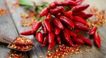 Peperoncino: tutto quello che c’è da sapere sugli effetti che può dare all’organismo