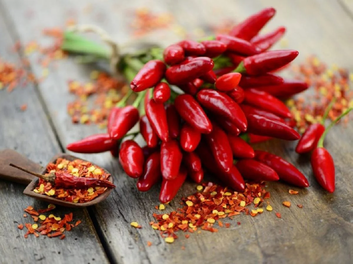 Peperoncino: tutto quello che c’è da sapere sugli effetti che può dare all’organismo