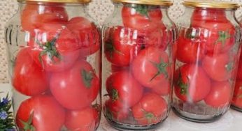 Conservare i pomodori freschi per 2 anni senza sale, acqua e aceto!