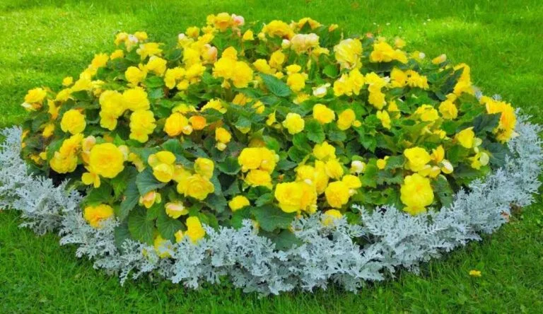 Gartenbeete anlegen