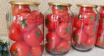 Come conservare i pomodori per due anni senza acqua, sale e aceto!