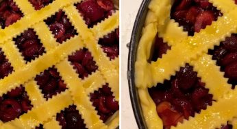 Crostata di ciliegie fresche: puoi farla quando hai poco tempo! Buonissima