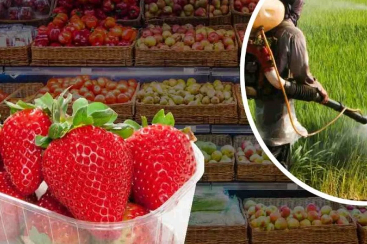 Fragole piene di pesticidi! Non comprate questa varietà: purtroppo è in tutti i supermercati