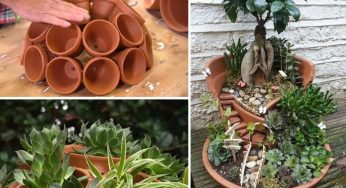 Riciclare i vasi in coccio per decorare il giardino: tantissime splendide idee!