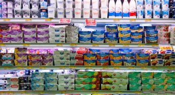 Yogurt: i migliori sul mercato nel 2022 secondo i test Altroconsumo