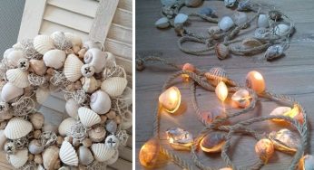 Decorare con le conchiglie: tantissime idee per creare oggetti dalla bellezza irresistibile del mare!