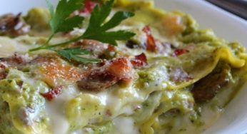 Lasagna con crema di zucchine, funghi e speck! La ricetta di mia nonna ma con solo 340 calorie!