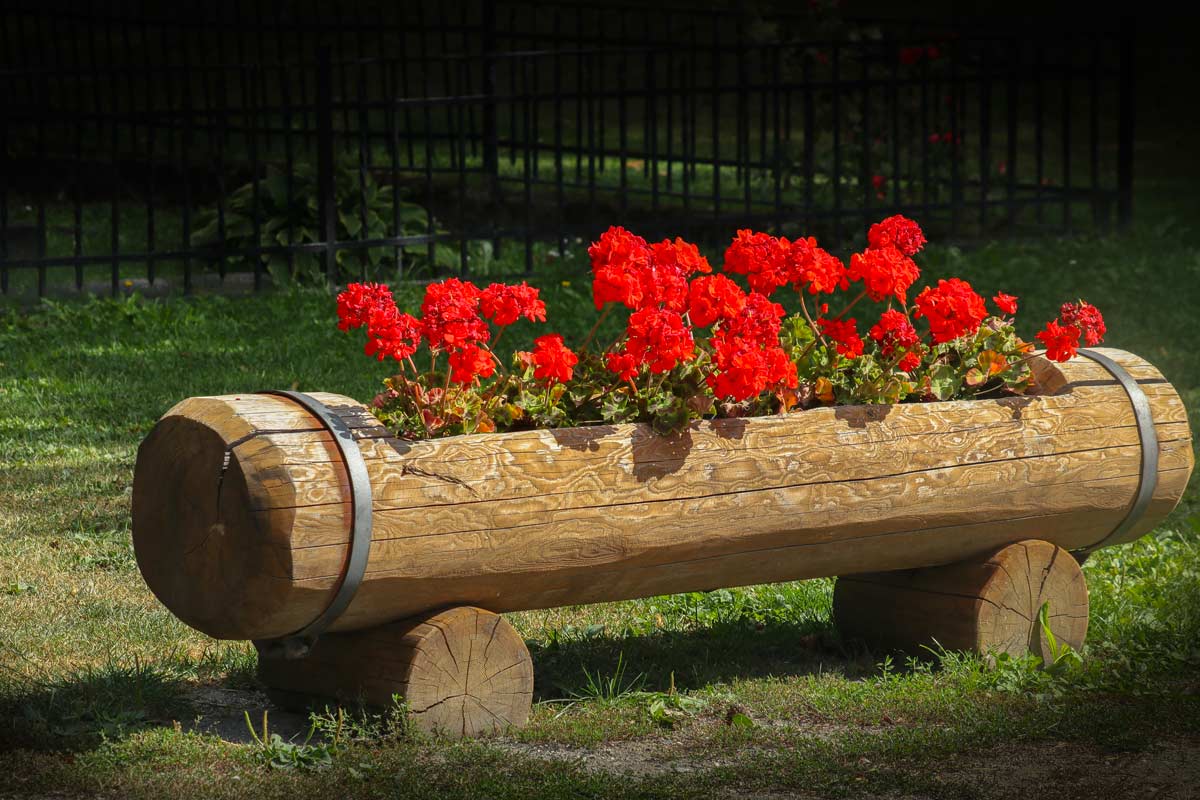 Natura creativa: 11 spunti per decorare il giardino con i tronchi di legno  