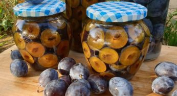 Come conservare le prugne per l’inverno: ricche di vitamine e ottime per tante ricette