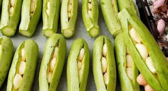 Non compro le zucchine d’inverno | Le preparo così e le conservo