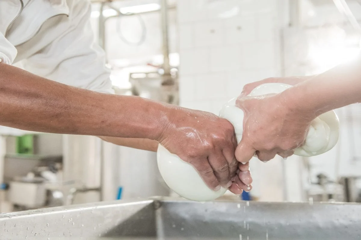 Der beste Büffelmozzarella auf dem Markt | Die Meinung der Experten.