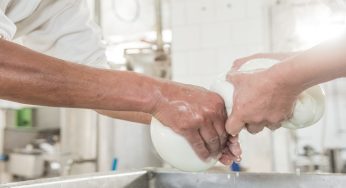 La migliore mozzarella di bufala in commercio | La classifica degli esperti!