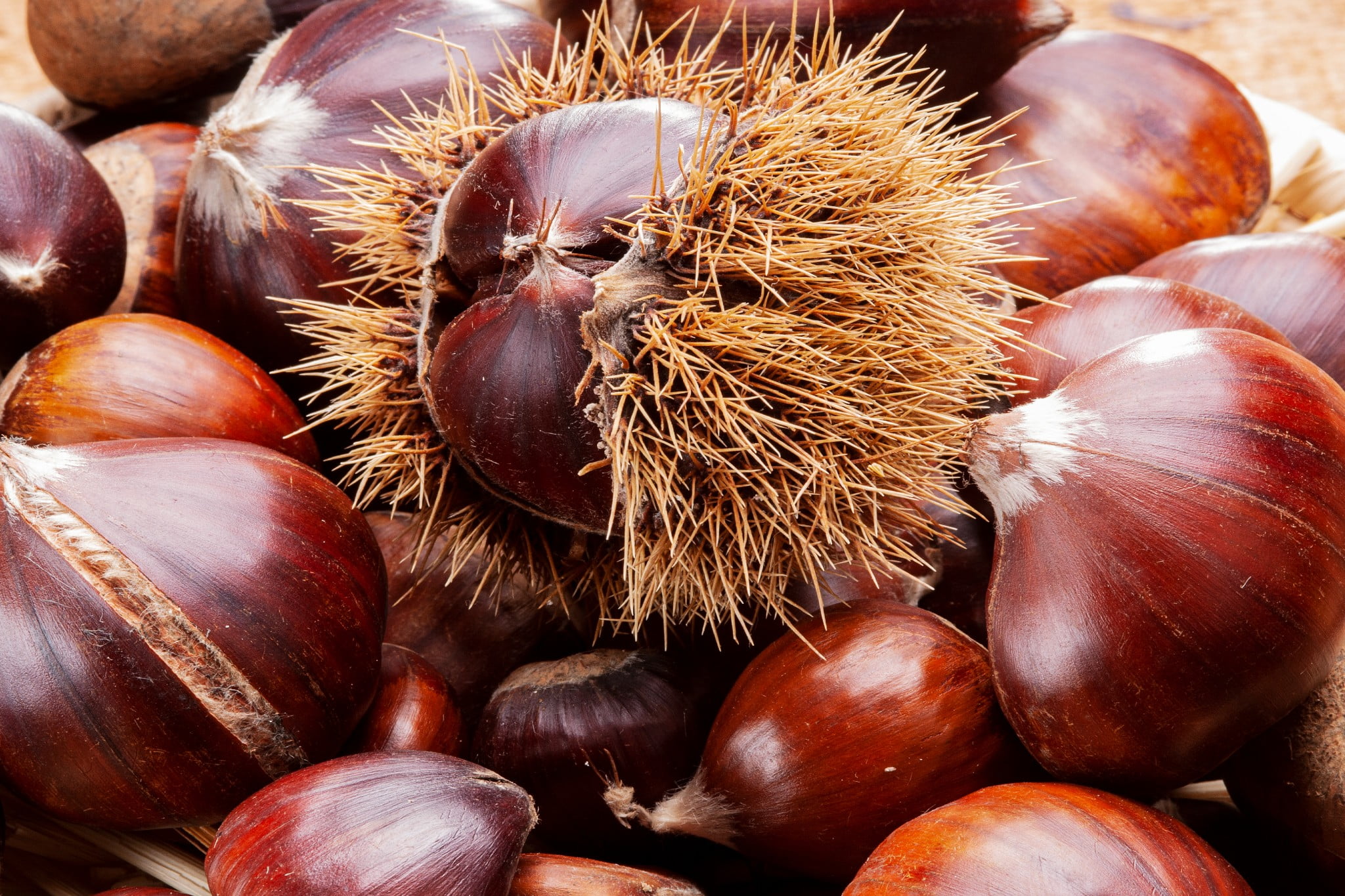 Castagne: se fai così, le conservi per un anno intero | Ti sveliamo il segreto delle nonne