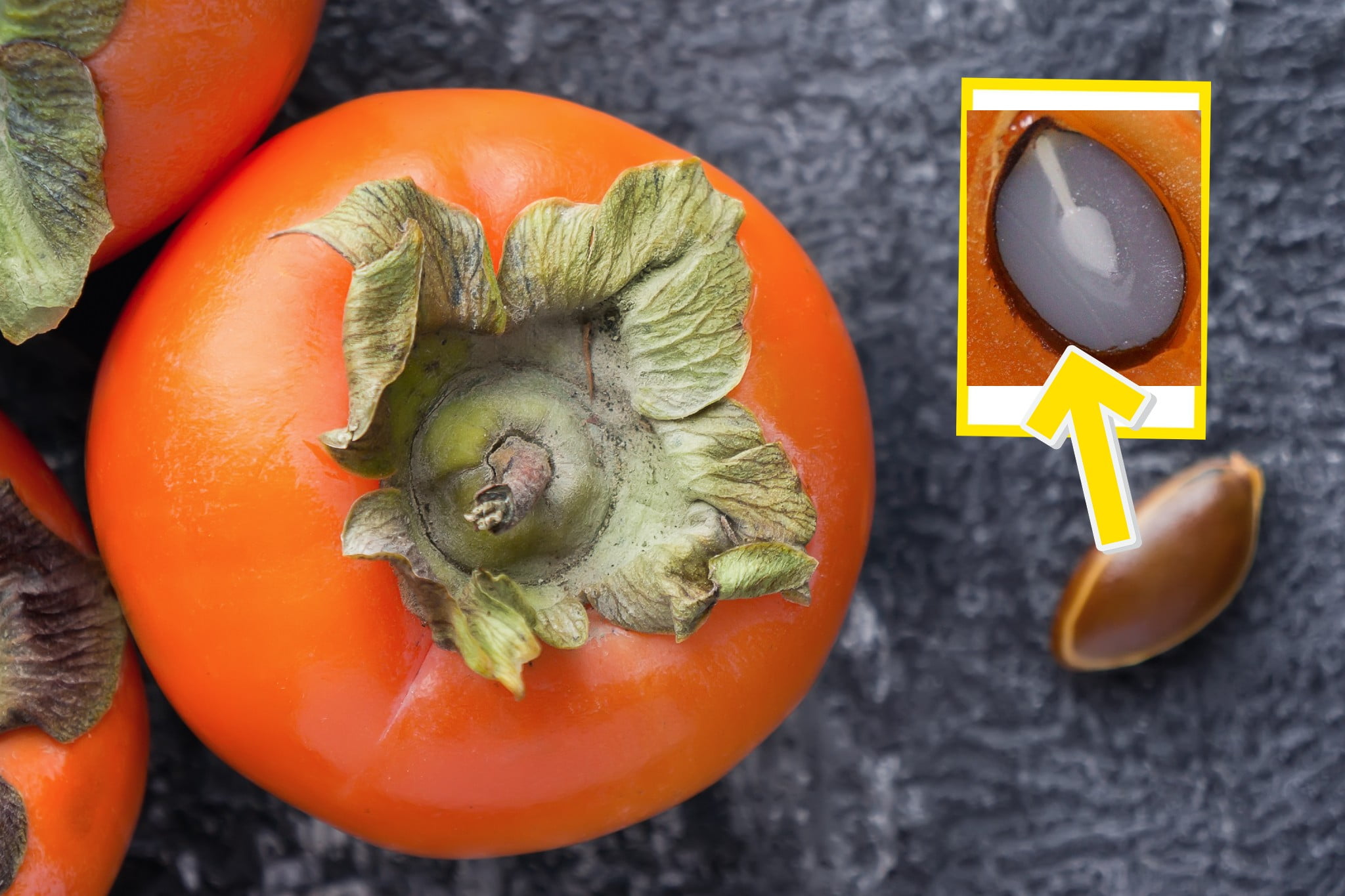 Tradizioni d’autunno: vuoi sapere se l’inverno sarà rigido? Ti insegno a fare le previsioni con i semi dei cachi.