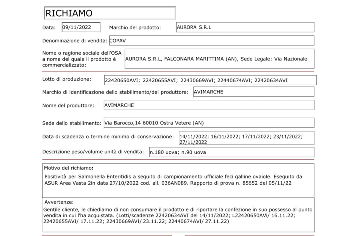 Ritiro immediato per queste uova fresche! Sono contaminate da salmonella! Massima allerta!