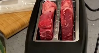 Cucinare la carne nel tostapane: la moda che spopola sul web non ci convince!