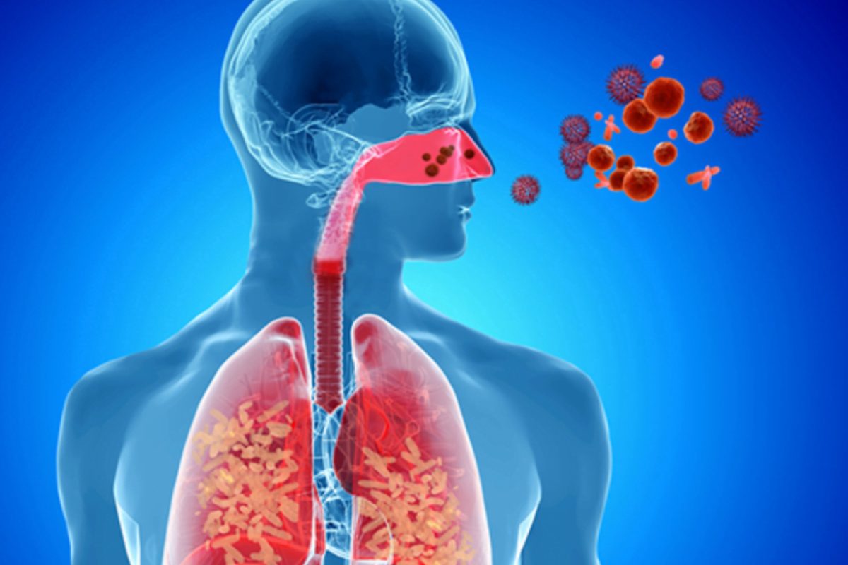 sciogliere catarro e muco,