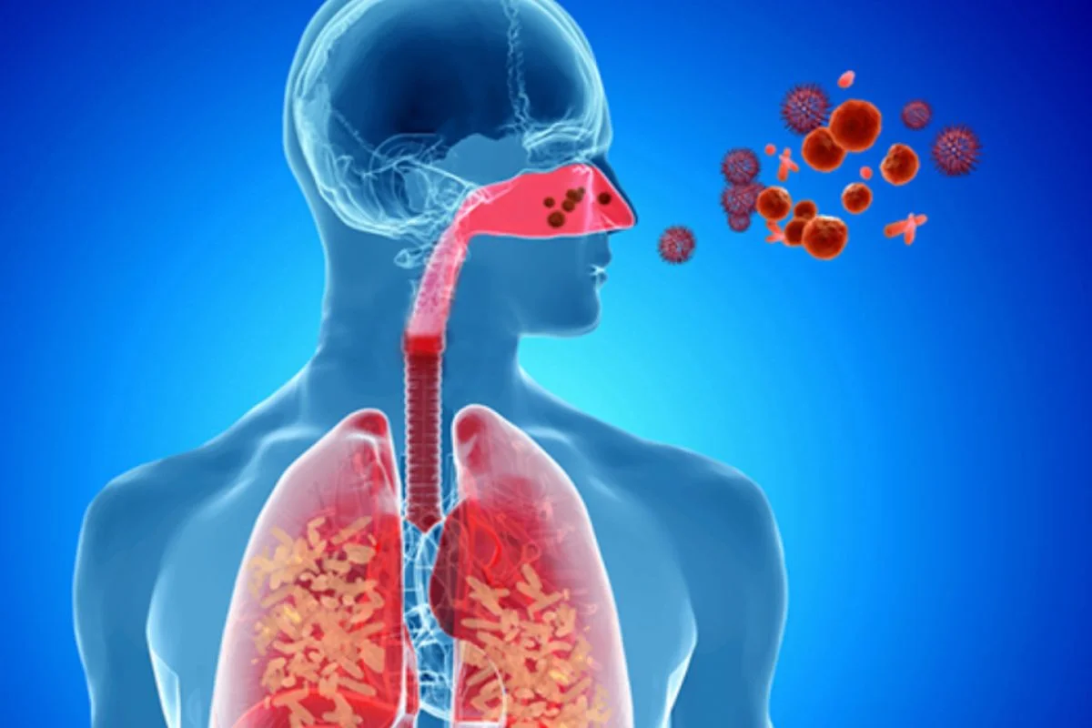 dissoudre les mucosités et le mucus,