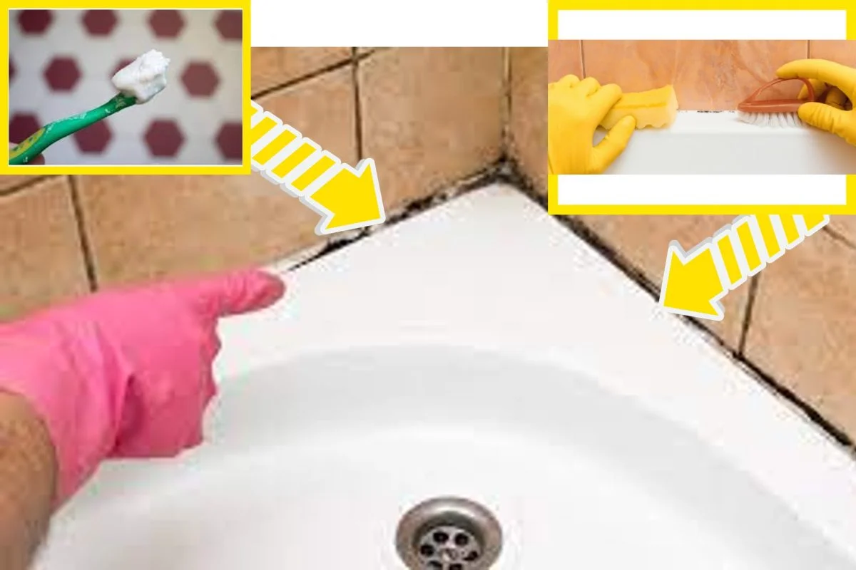 Pour blanchir les coins de votre douche et de votre salle de bain tout en éliminant les moisissures, faites ceci !