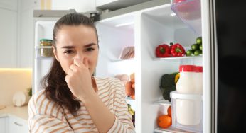 Puzza di pesce in frigo? Il rimedio della nonna che funziona sempre!