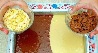 2 torte in 1: questa torta soddisfa proprio tutti, grandi e piccini!