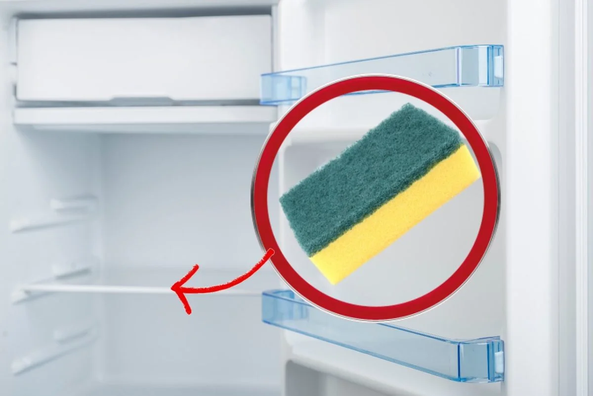 Mettez une éponge au réfrigérateur et économisez ! Comment faire et pourquoi