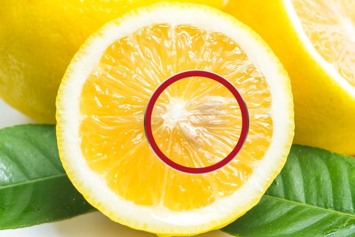 Lemon seeds: if you throw them away, you're wrong!  They are very useful!