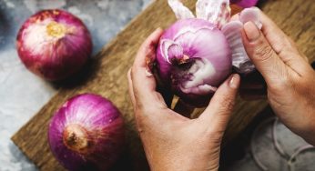 Aglio e cipolla in polvere: falli in casa, risparmi e sai cosa mangi!