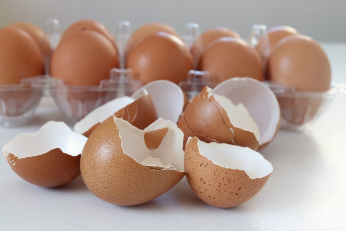 Gusci d’uovo: Non buttarli, valgono oro! Usali così!