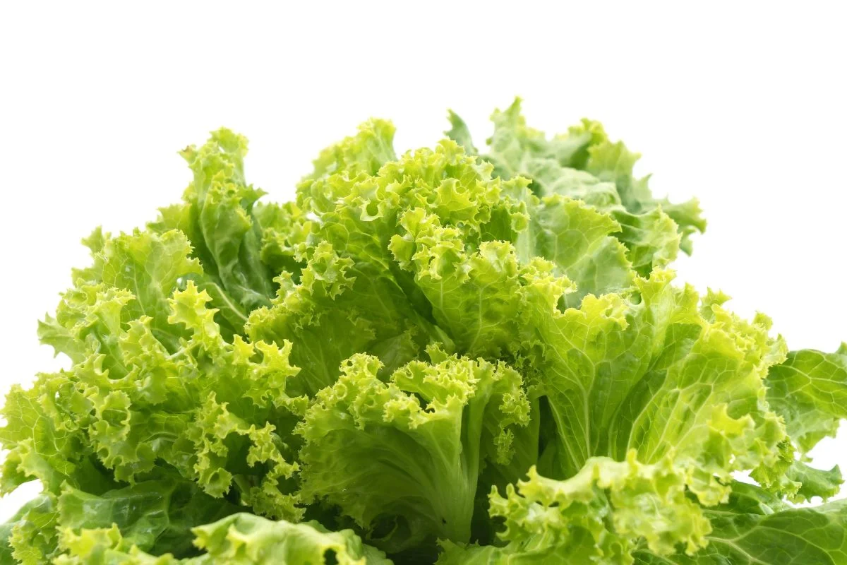 Ich mache das, um den Salat frisch zu halten, als wäre er gerade erst gekauft worden