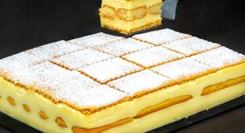 Mattonella della nonna: la torta di biscotti con crema pasticcera,