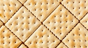 Cracker con farina di insetti: come riconoscerli? Ecco quale marca li produce