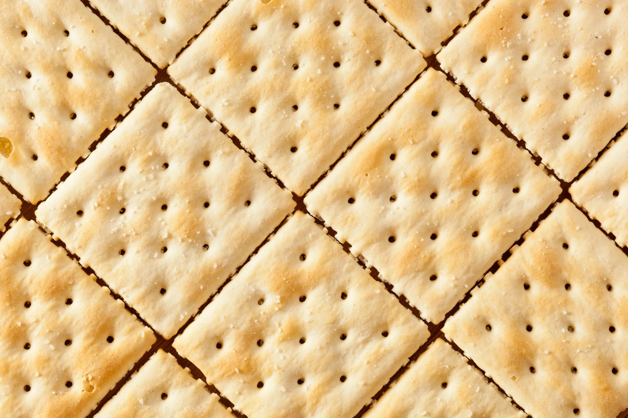 Cracker con farina di insetti: come riconoscerli? Ecco quale marca li produce