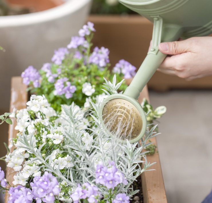 Uso il bicarbonato anche in giardino: è fenomenale e risolve tutti i guai!