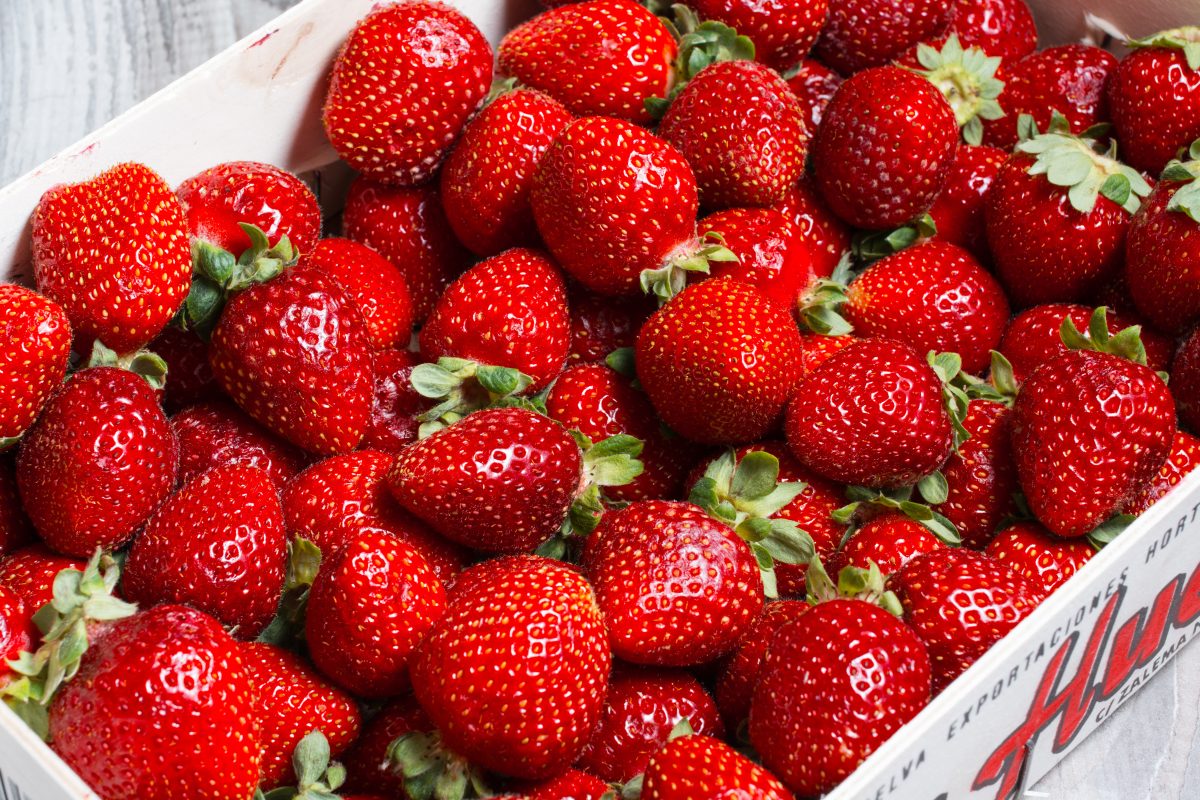 Le migliori fragole da acquistare sono queste: senza pesticidi ne conservanti!